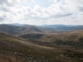 0407-1207 Kosciuszko (1030424)